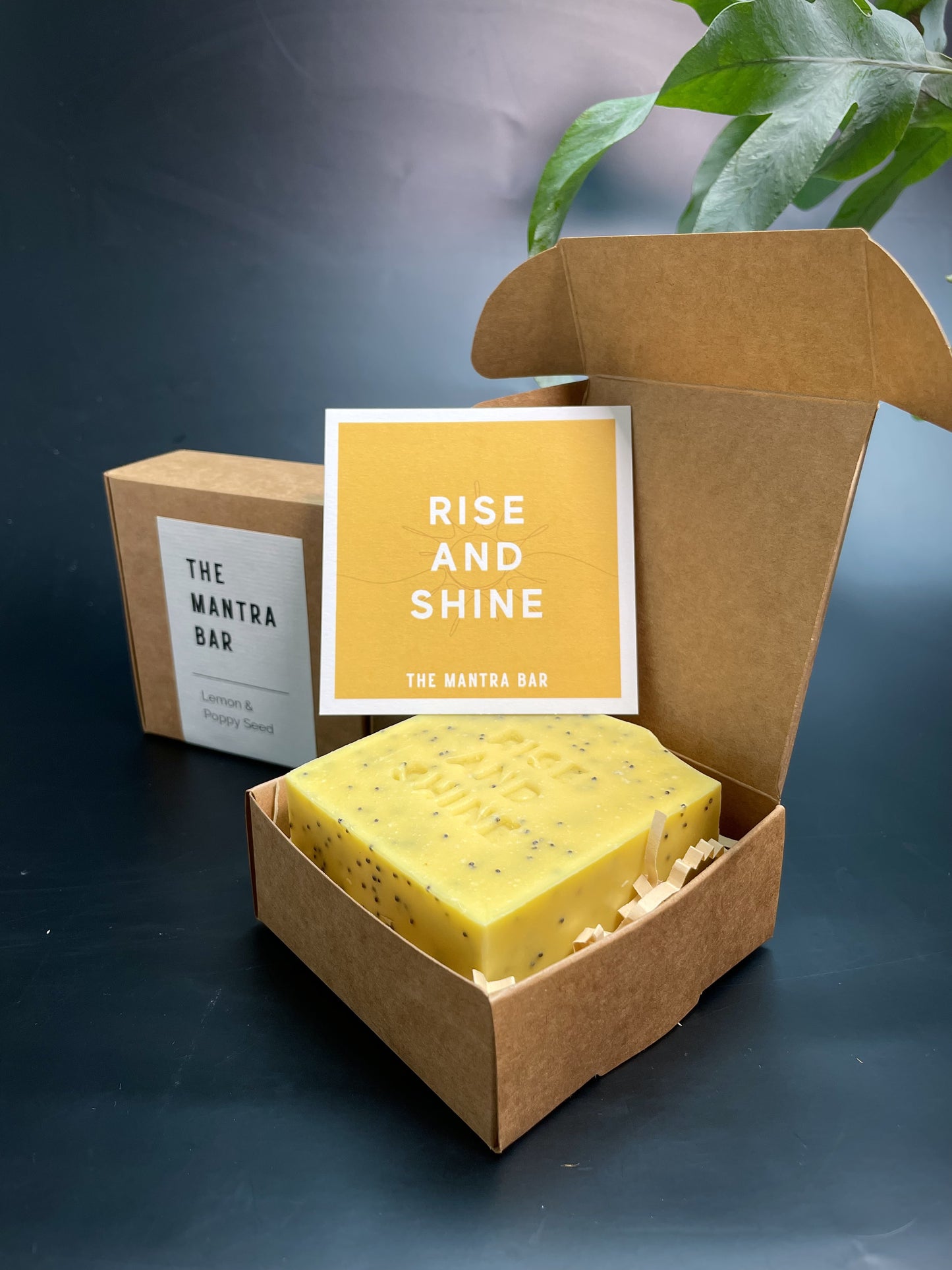 Lemon & Poppy Seed Soap Bar